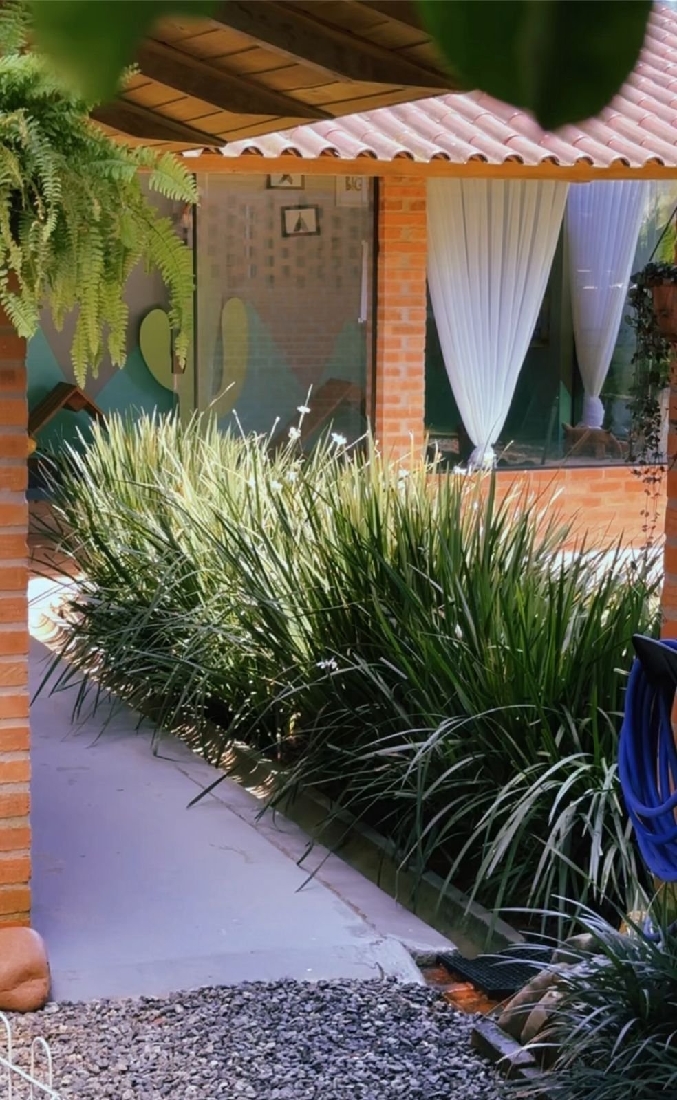 Imagem do WhatsApp de 2024-02-12 à(s) 10.44.59_e200c32b